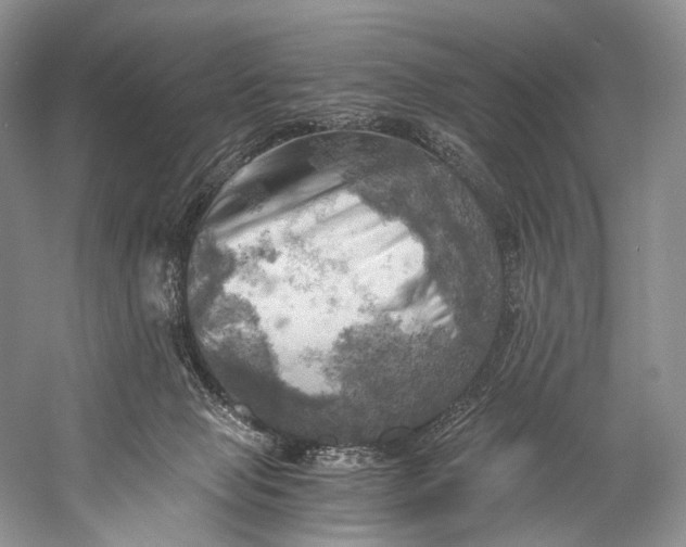 X0000058800077200510171358