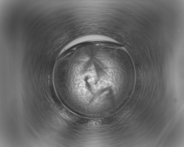 X0000058800080200510171358