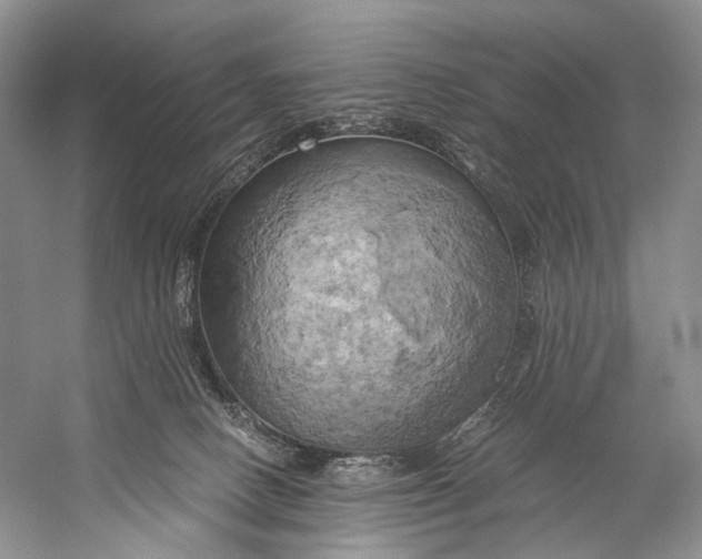 X0000058800082200510171358