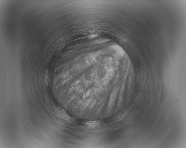 X0000058800085200510171358