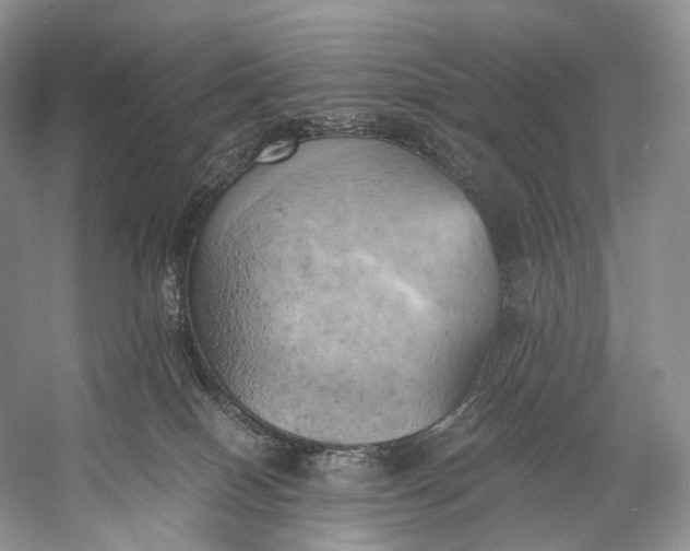 X0000058800086200510171358