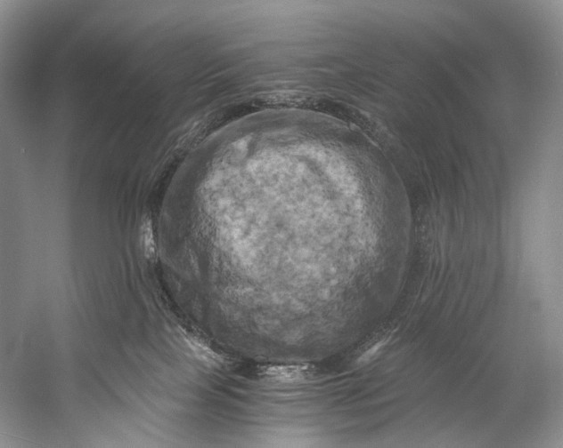 X0000058800089200510171358