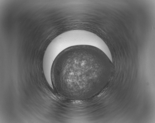 X0000058800091200510171358