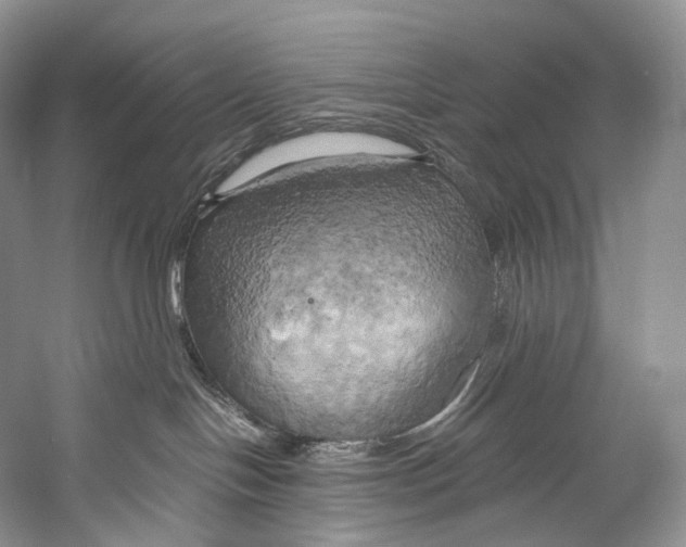 X0000058800094200510171358