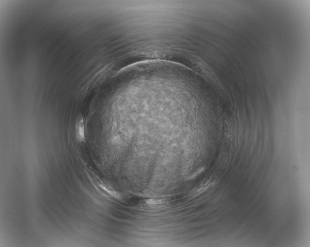 X0000058800095200510171358