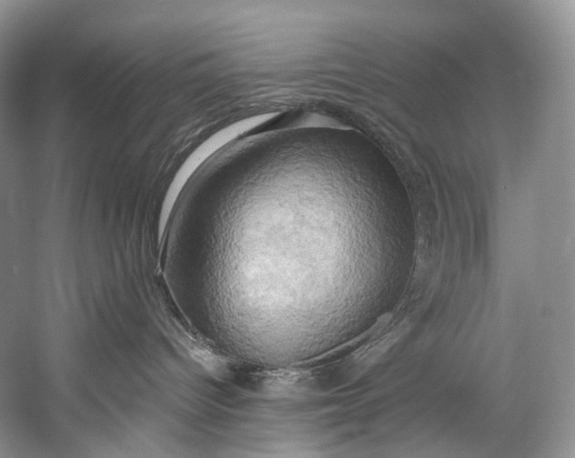 X0000058800096200510171358