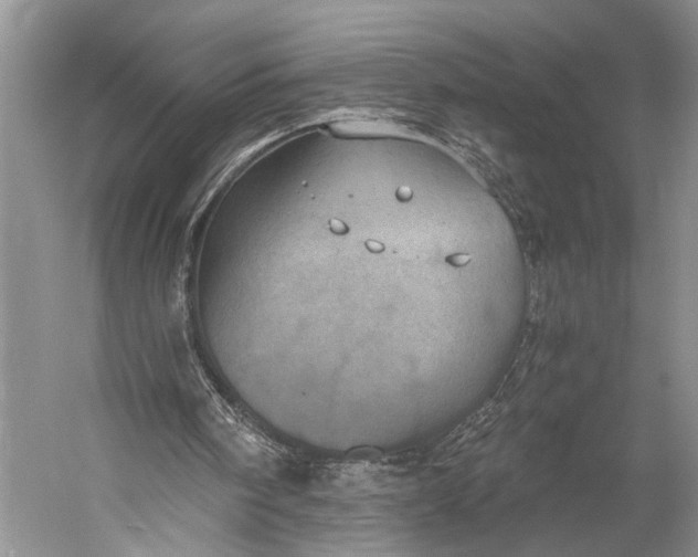 X0000058800098200510171358