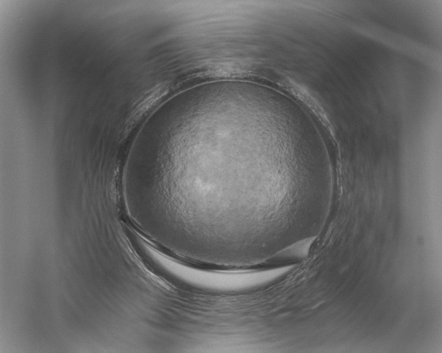 X0000058800105200510171357