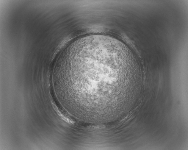 X0000058800106200510171357