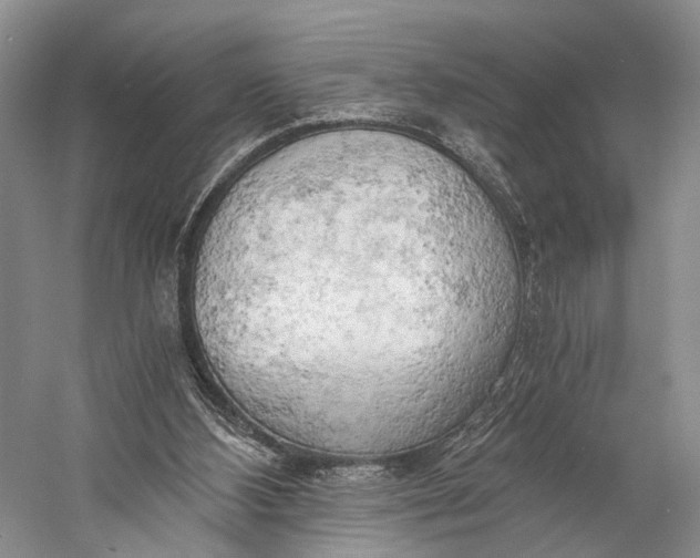 X0000058800108200510171357