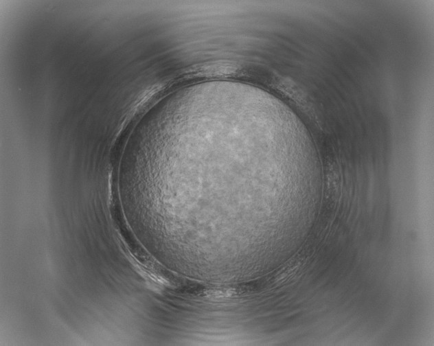 X0000058800110200510171357