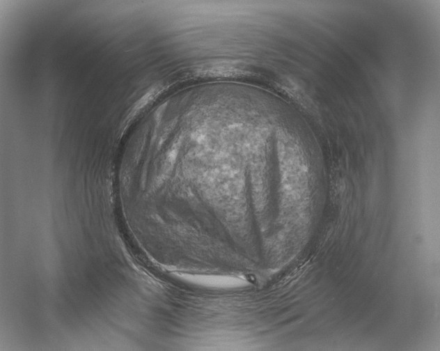X0000058800111200510171357