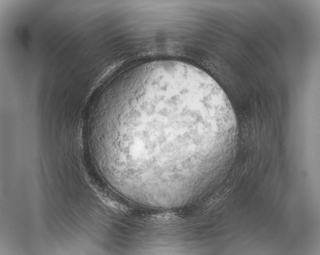 X0000058800112200510171357