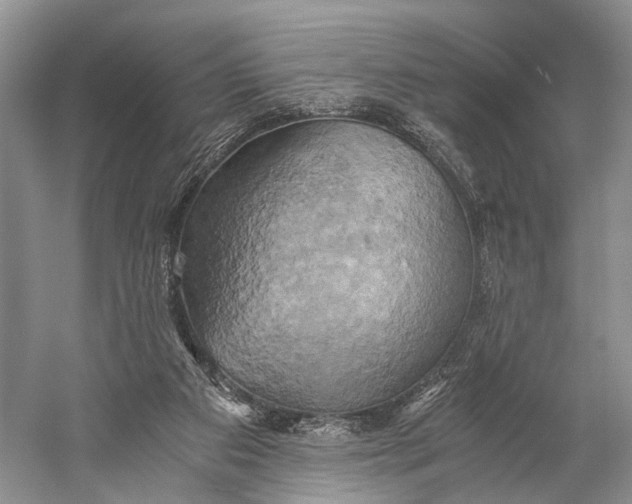 X0000058800113200510171357