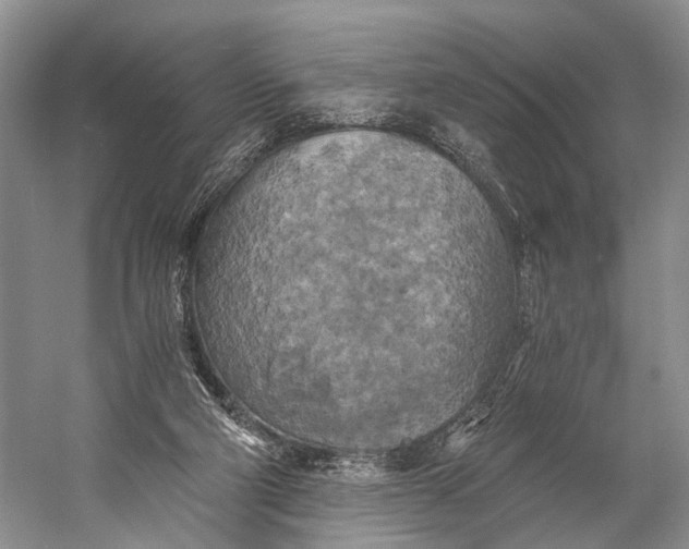 X0000058800114200510171357