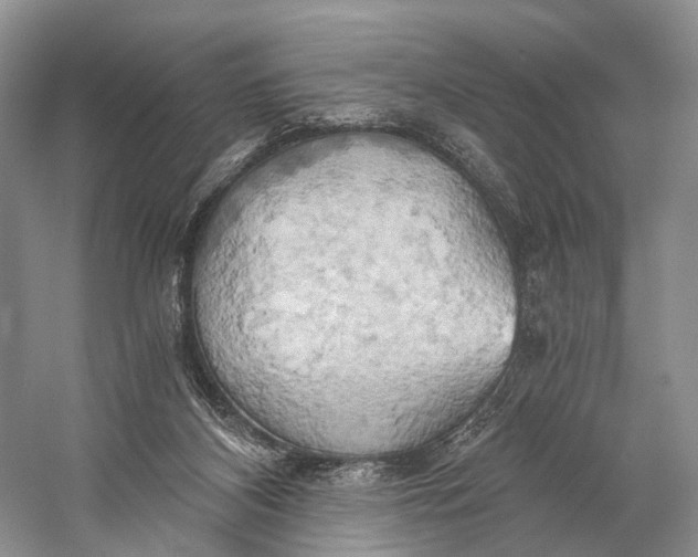 X0000058800116200510171357