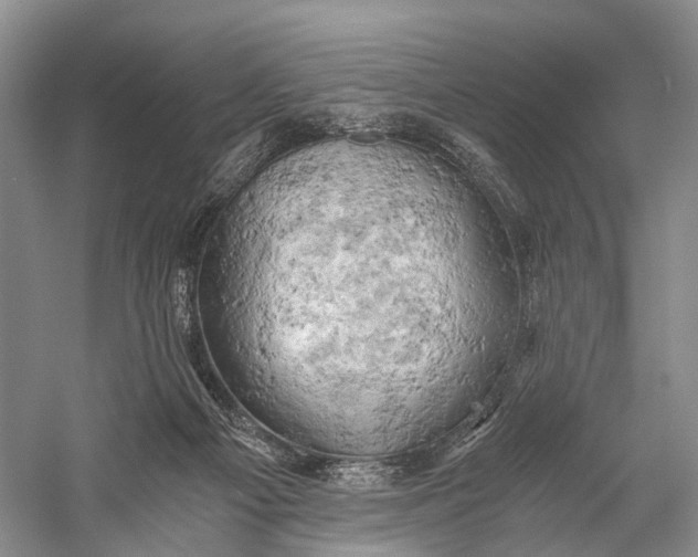 X0000058800121200510171357
