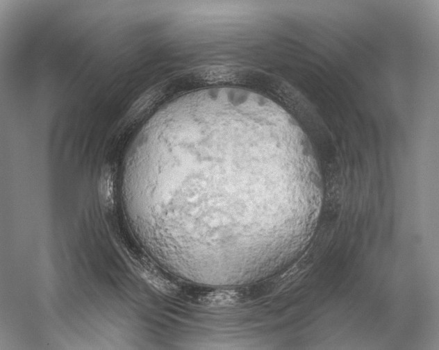 X0000058800124200510171357