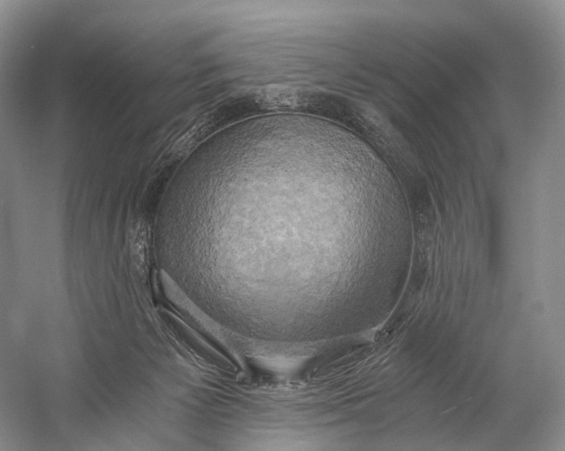 X0000058800125200510171357