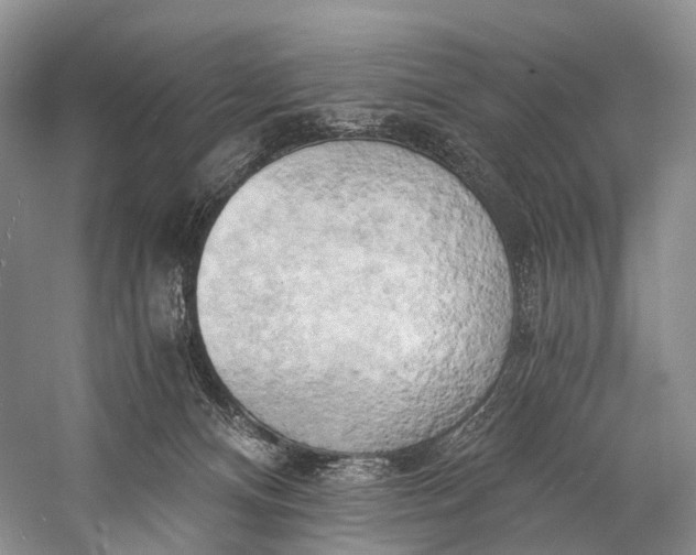 X0000058800128200510171357