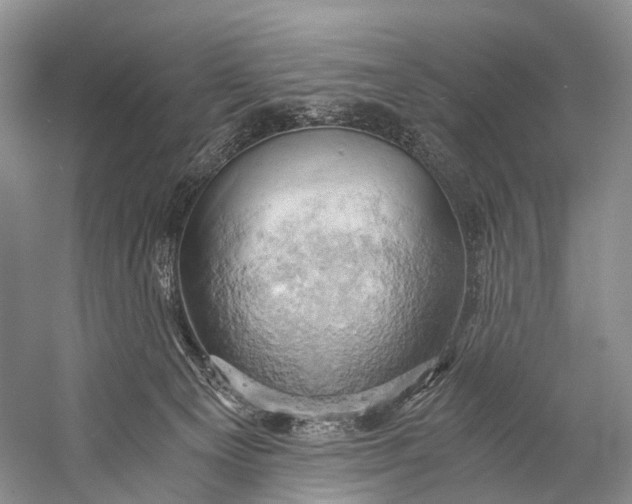 X0000058800129200510171357