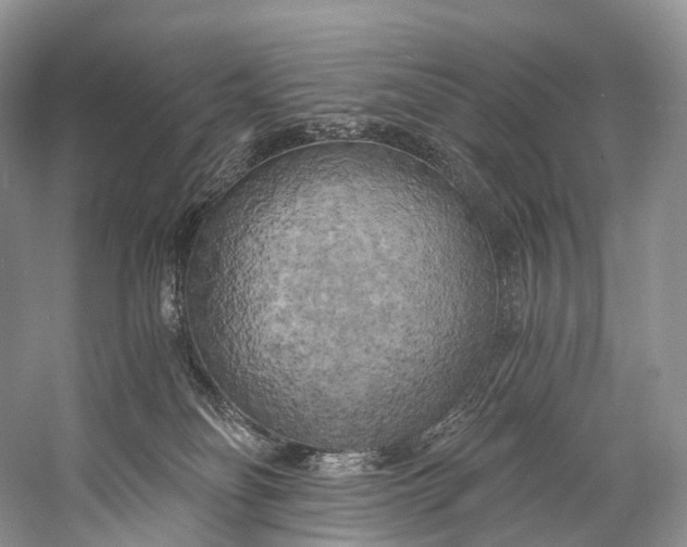 X0000058800134200510171357
