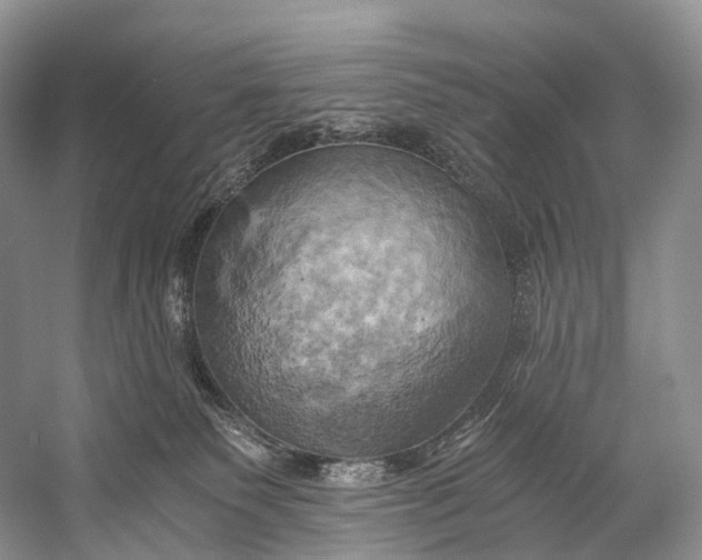 X0000058800135200510171357