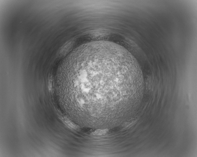 X0000058800138200510171357