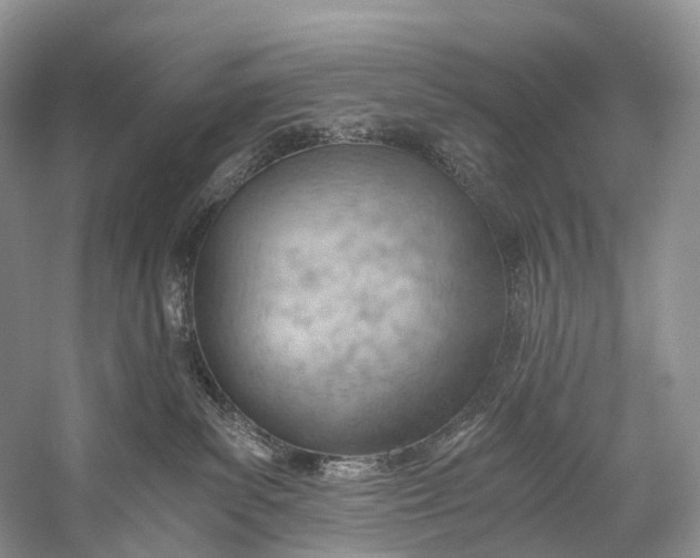 X0000058800139200510171357