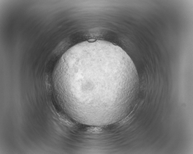 X0000058800140200510171357