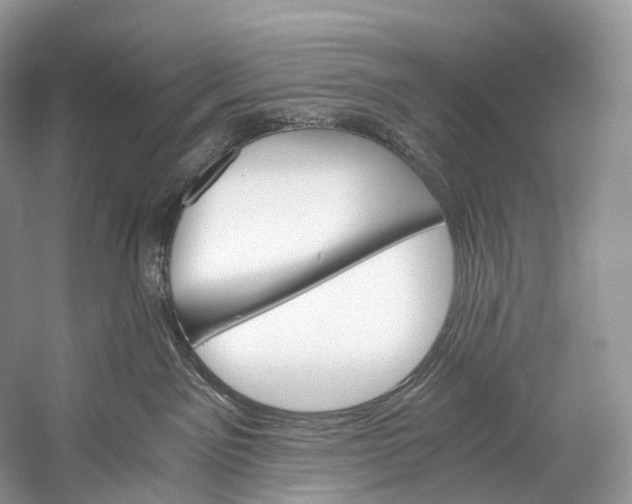X0000058800141200510171357