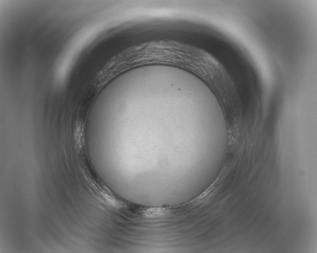 X0000058800142200510171357