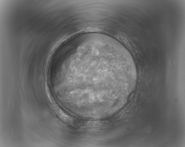 X0000058800145200510171356