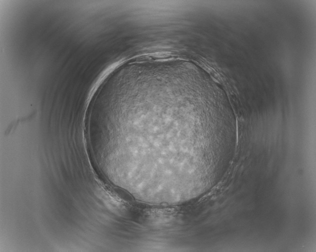 X0000058800147200510171356