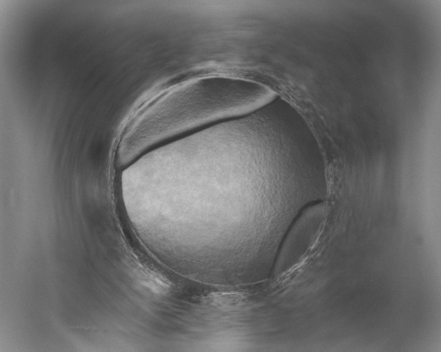 X0000058800150200510171356