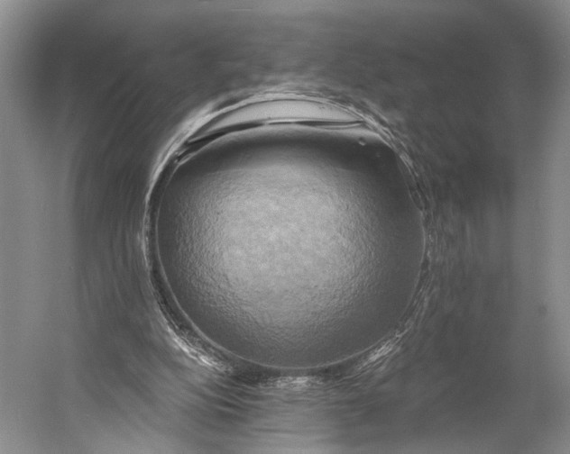 X0000058800152200510171356