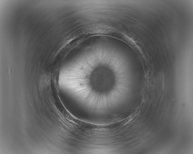 X0000058800154200510171356