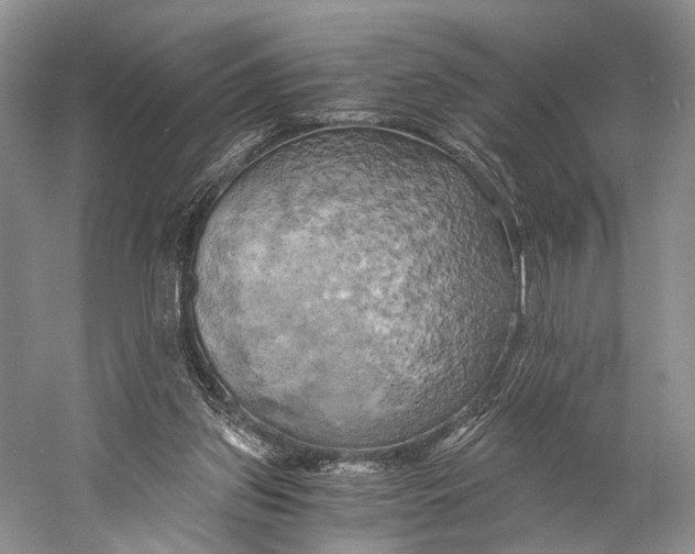 X0000058800157200510171356