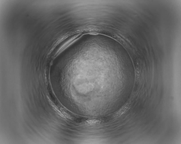 X0000058800158200510171356