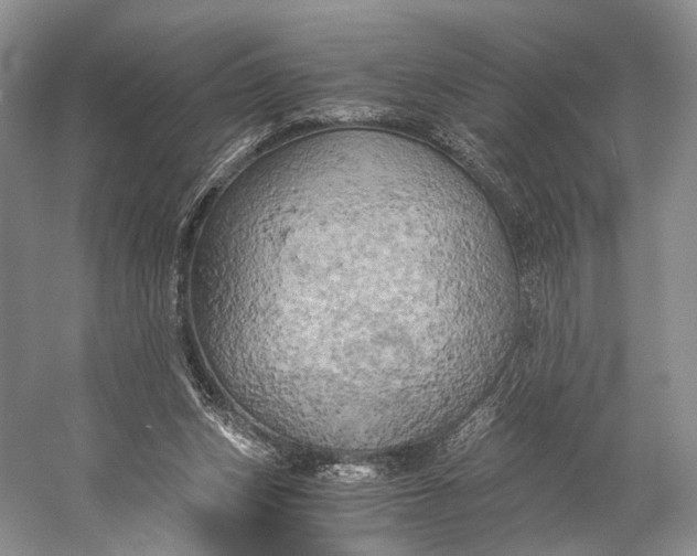 X0000058800159200510171356