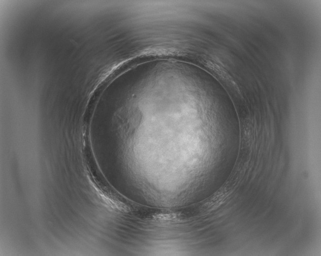 X0000058800160200510171356