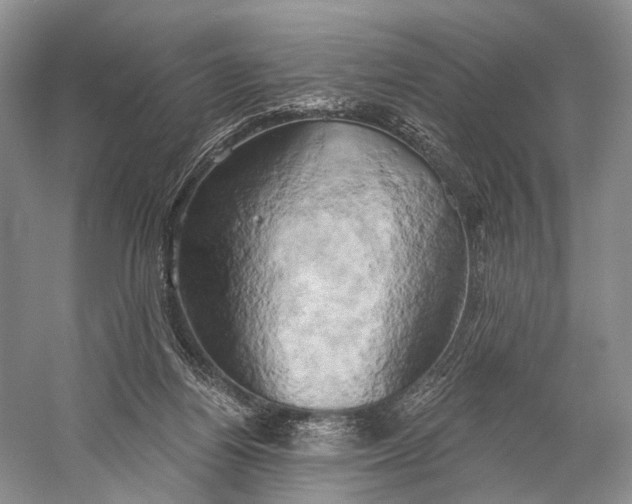 X0000058800164200510171356
