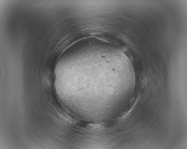 X0000058800170200510171356