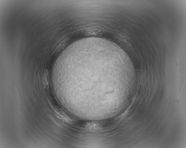 X0000058800174200510171356