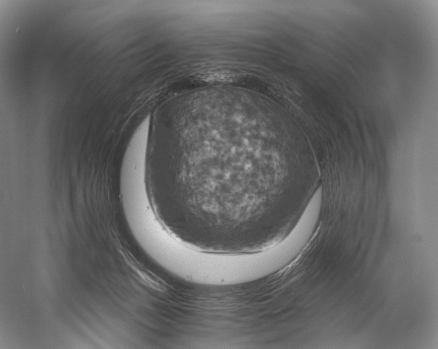 X0000058800175200510171356