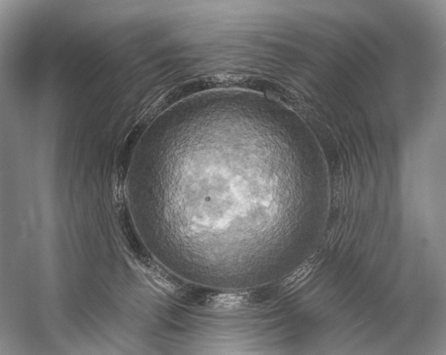 X0000058800176200510171356
