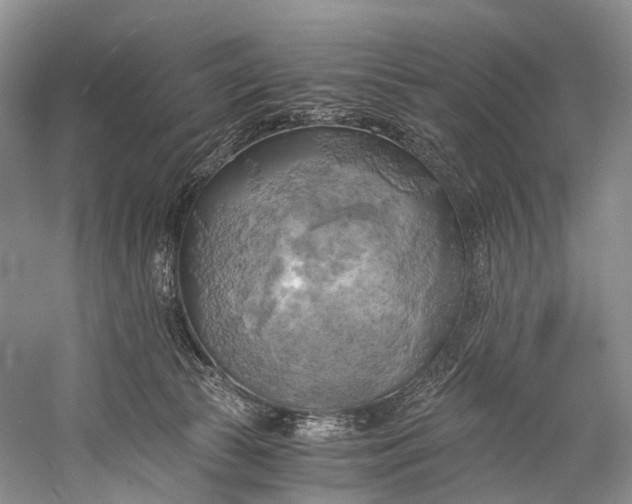 X0000058800177200510171356