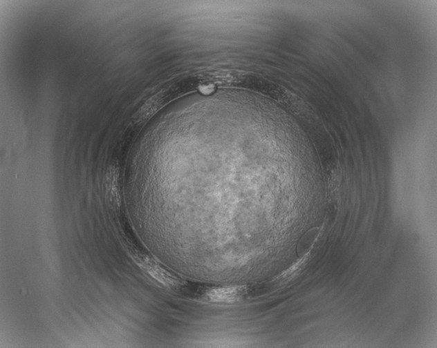 X0000058800178200510171356
