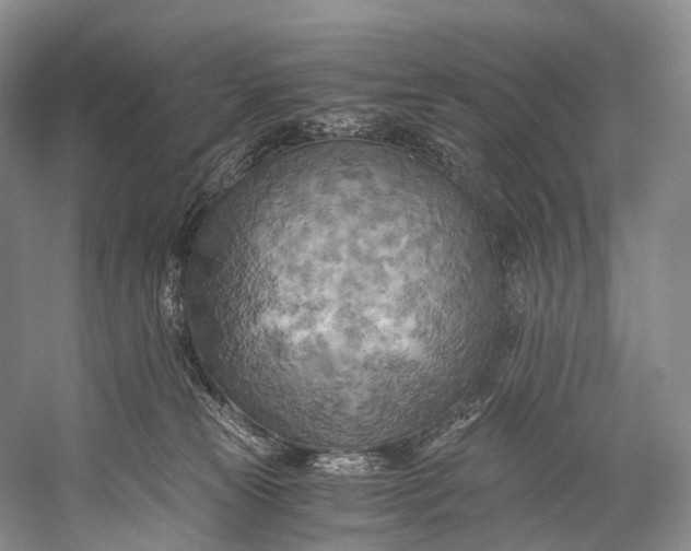 X0000058800181200510171357