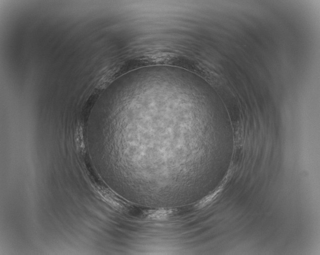 X0000058800182200510171357